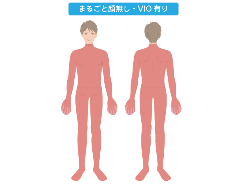 全身丸ごと脱毛シリーズ(顔無し・VIO有り)