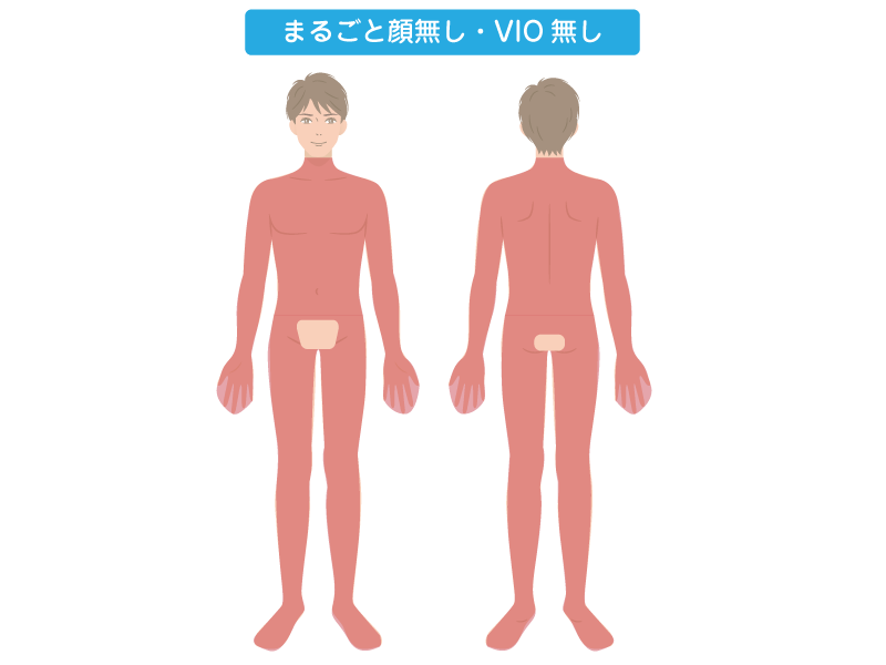 全身丸ごと脱毛シリーズ(顔無し・VIO無し)
                                    