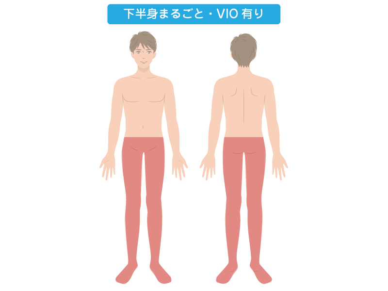 ハーフ脱毛　下半身