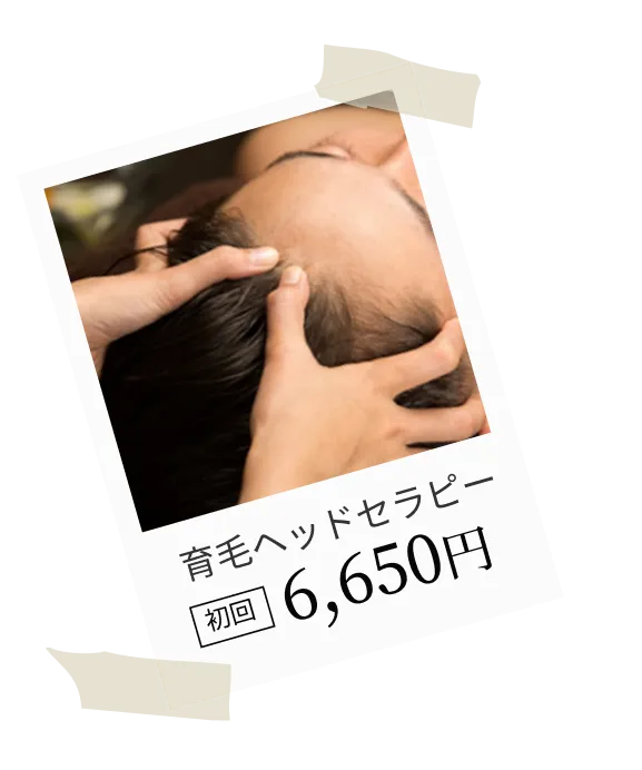 育毛ヘッドセラピー